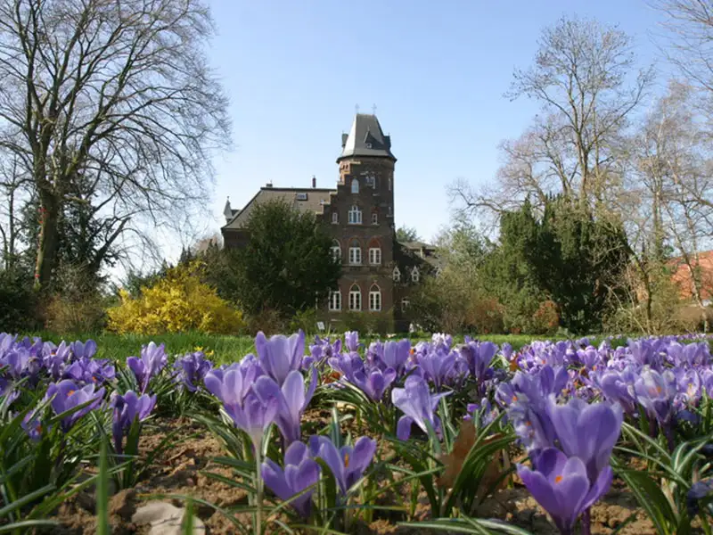 Der Monheimer Marienburgpark im Frühling mit Blumen im Vordergrund
